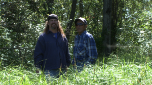 2011 summer archie showing stef a field