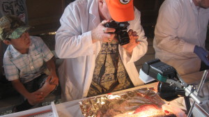 Paul Jones shows a young Dene boy how he samples fish in Fort Resolution, NT.