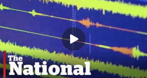 Earthquakes Spook Animals Too!