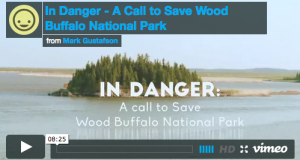 UNESCO Moves to Investigate Threats to Wood Buffalo National Park